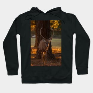 Deer II Hoodie